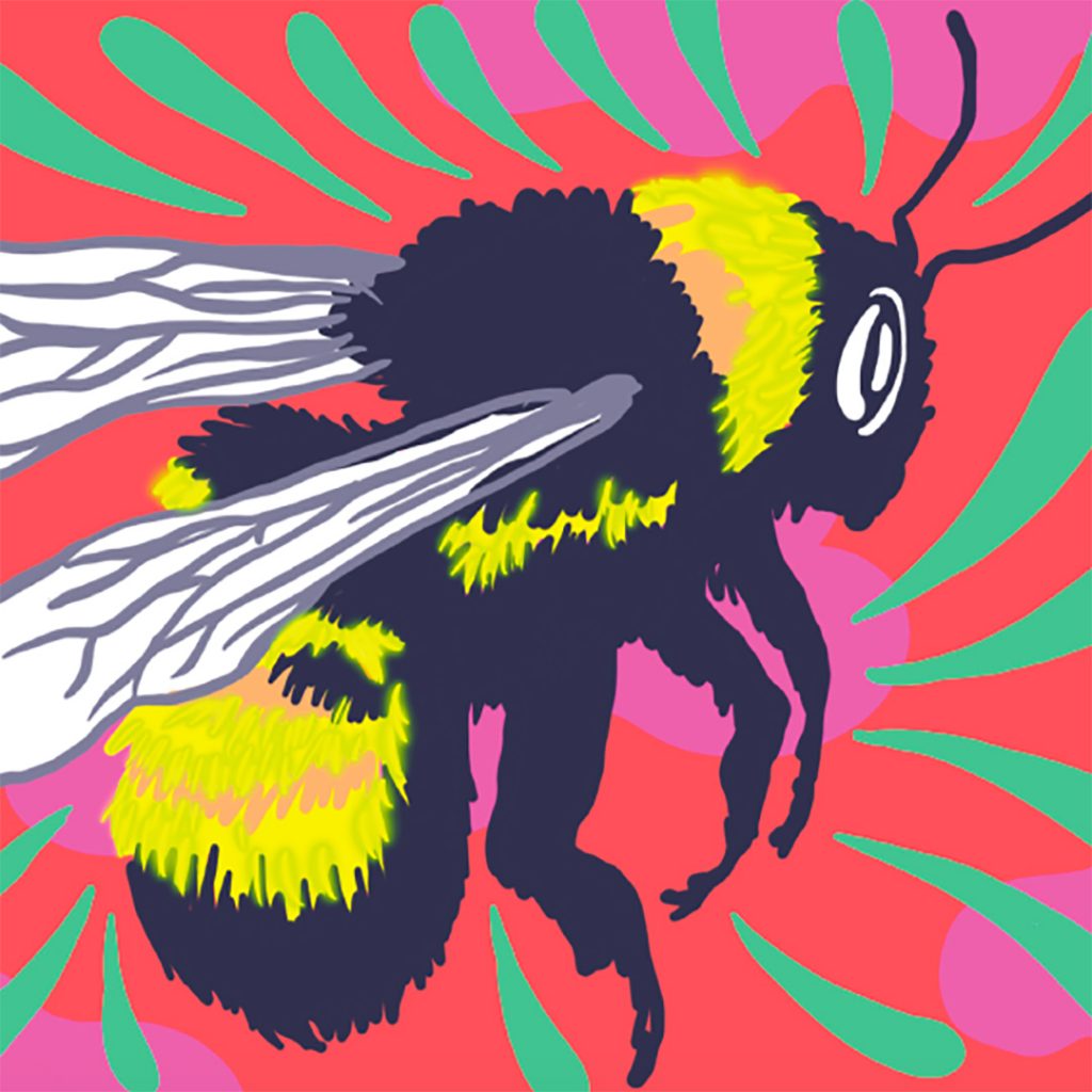 Illustrated black and yellow bumble bee on a hotpink background with green strokes