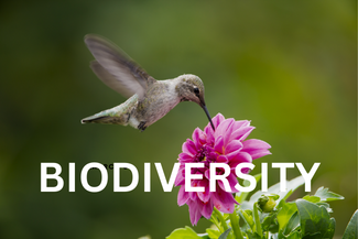 Biodiversity