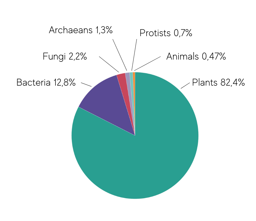 Circle with percentage of living organisms on earth