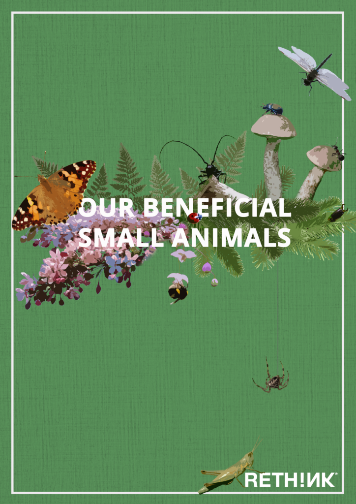 Moss green background with insects and mushrooms in drawings and text in white saying Our Beneficial Small Animals. At the bottom is the ReThink logo in white that matches the thin white frame apart from the edge. Some of the insects are layered over the thin frame.