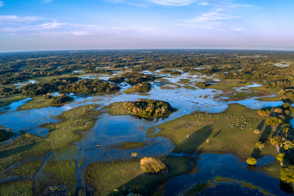 The Pantanal, the world’s largest tropical wetland, with its alternating stretches of water, grassland and forest. purple bl;ue endless sky, grassland shaping small icelands with blue water all around. The shaow of a plain wing in bottom of photo.